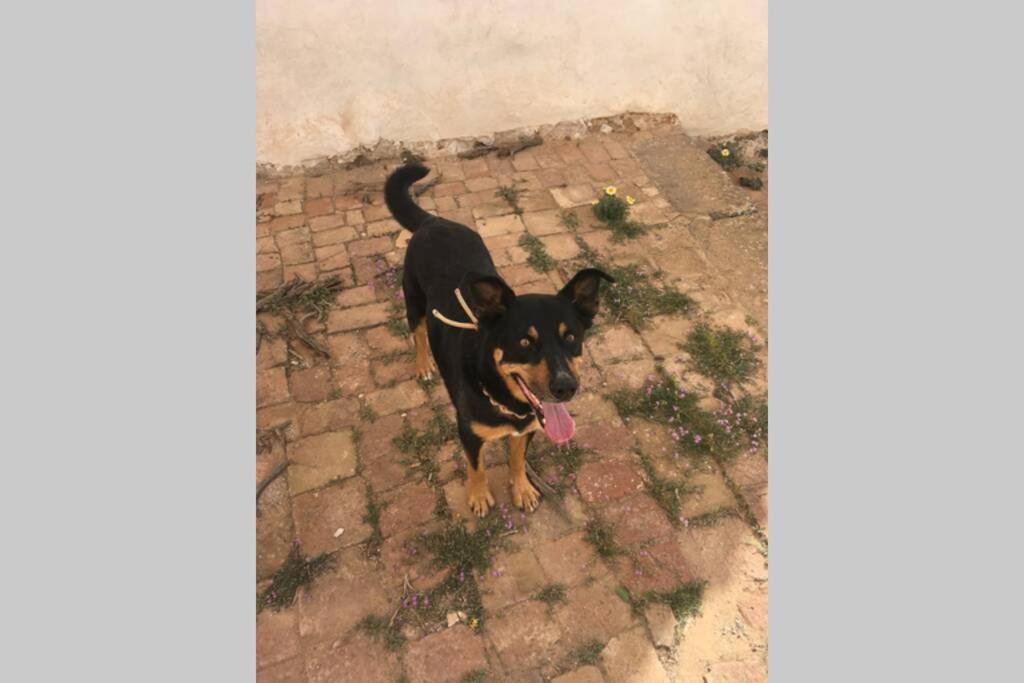 Casa Madre Tierra Διαμέρισμα La Pared  Εξωτερικό φωτογραφία