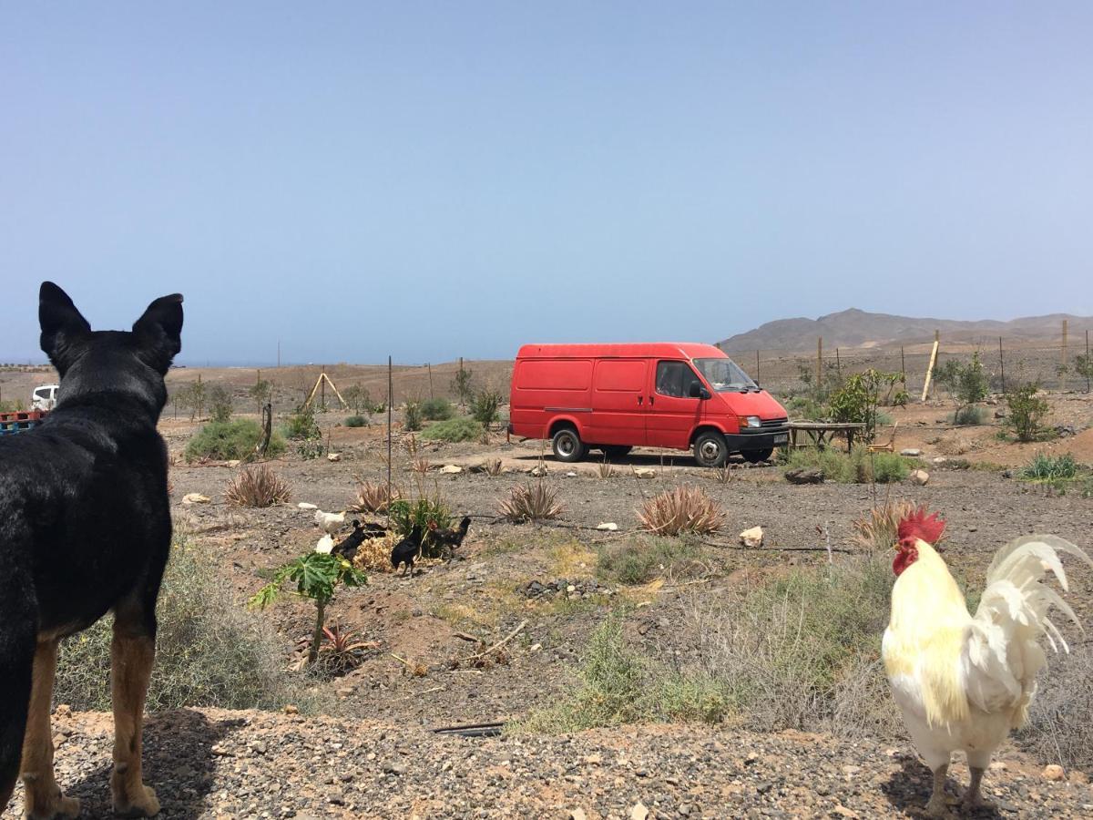 Casa Madre Tierra Διαμέρισμα La Pared  Εξωτερικό φωτογραφία