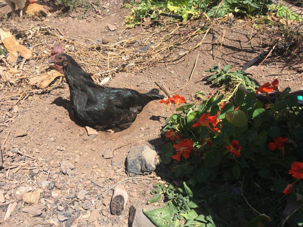 Casa Madre Tierra Διαμέρισμα La Pared  Εξωτερικό φωτογραφία
