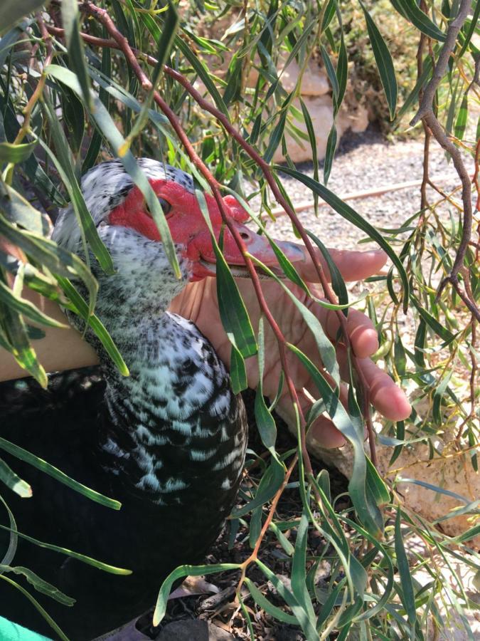 Casa Madre Tierra Διαμέρισμα La Pared  Εξωτερικό φωτογραφία